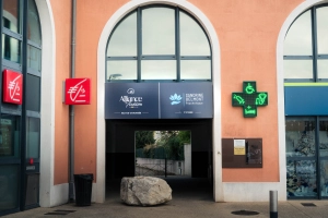 Photo - Alliance Audition (30510)